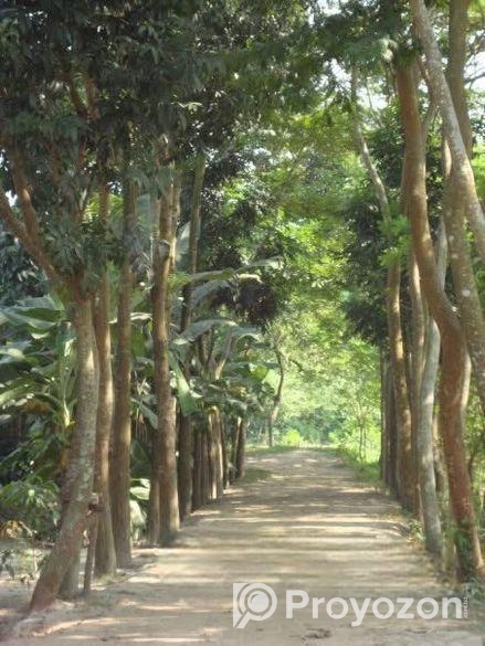 বিক্রির জন্য জমি