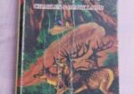 Used story books