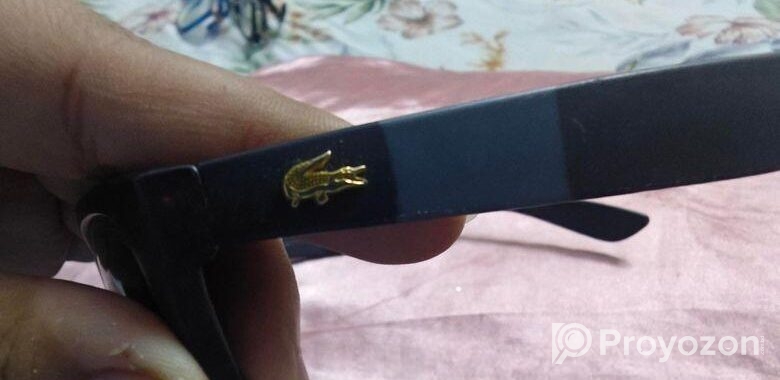 Sunglass