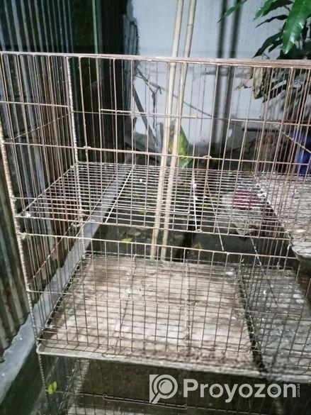 8 Khoper Khacha Sell Hobe