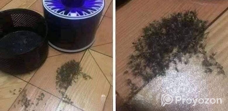 mosquito killer lamp