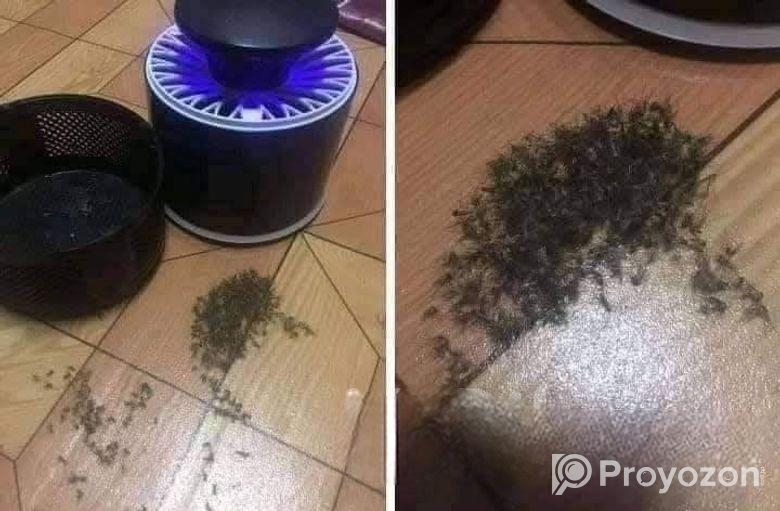 mosquito killer lamp