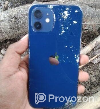 Apple iPhone 12 (Used)