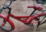Duranta 20 size baby cycle
