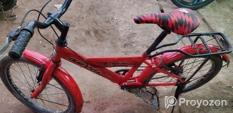 Duranta 20 size baby cycle
