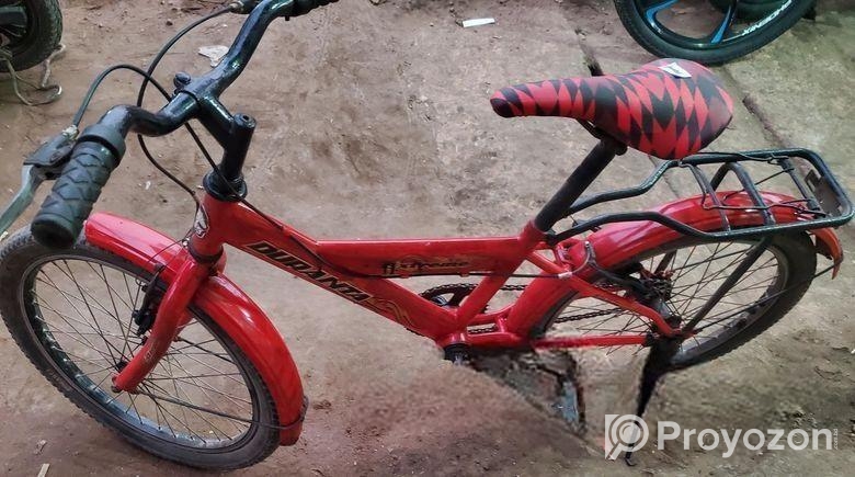 Duranta 20 size baby cycle