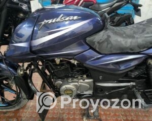 fitted-5_2025-08-11_17-55-53