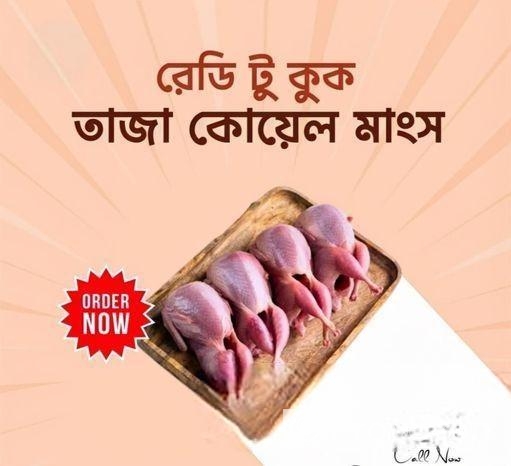 কোয়েল পাখি