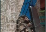 Electric Bycycle For Sell