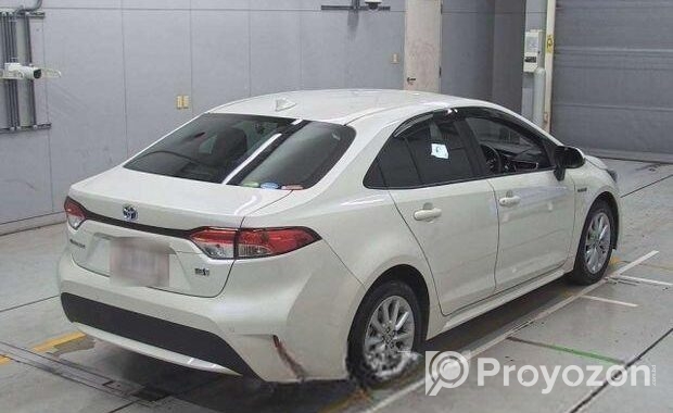 Toyota Corolla Hybrid S 2020