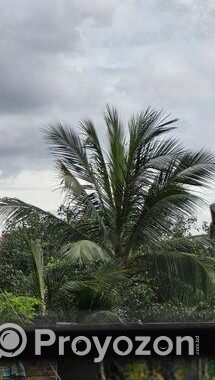 RAJUK UTTARA SECTOR -03 EAST FACING 60 WIDE ROAD P
