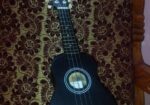 Ukulele (উকুলেলে) 21″ ইউকুলেলি ব্যাগ এবং ২টি পিক