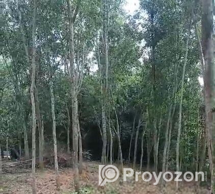 ৬০ শতক জায়গা বিক্রি করা হবে