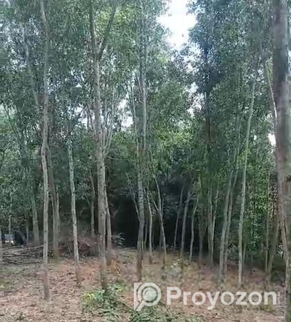 ৬০ শতক জায়গা বিক্রি করা হবে