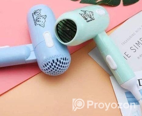 Fashion Hair Dryar