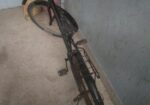 Duranta Bicycle for sale