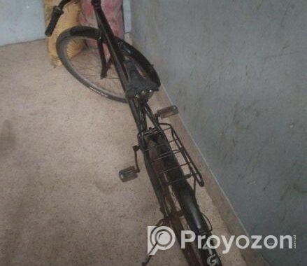 Duranta Bicycle for sale