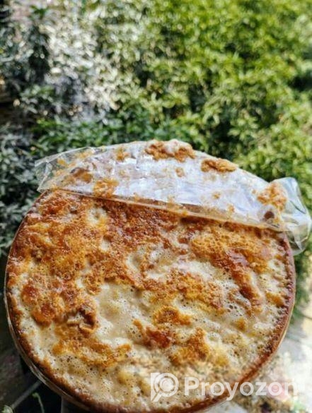 ঐতিহ্যবাহী বগুড়ার সরা দই