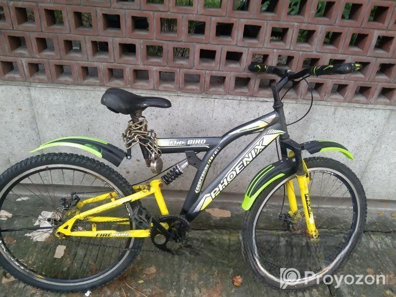 Phoenix Bicycle for sale