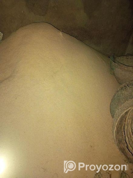 ধানের গুরা