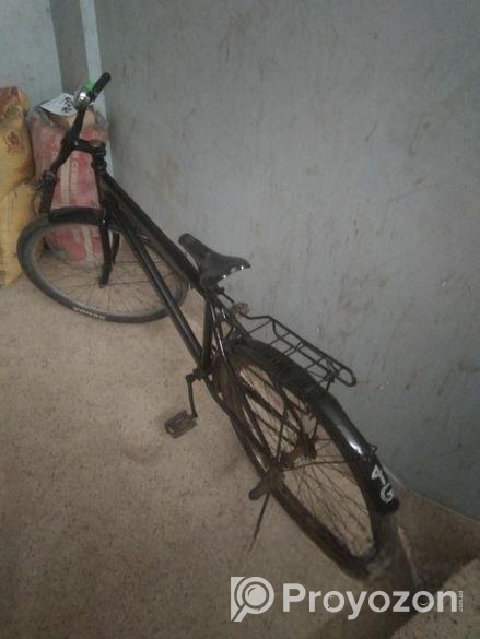 Duranta Bicycle for sale