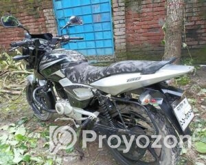 fitted-62_2025-08-02_11-01-40