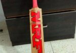 cricket bat