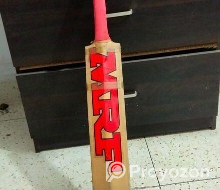 cricket bat