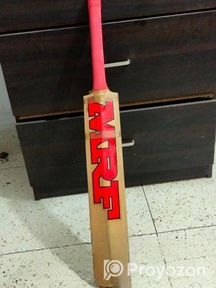 cricket bat