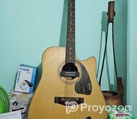 Givson Guiter