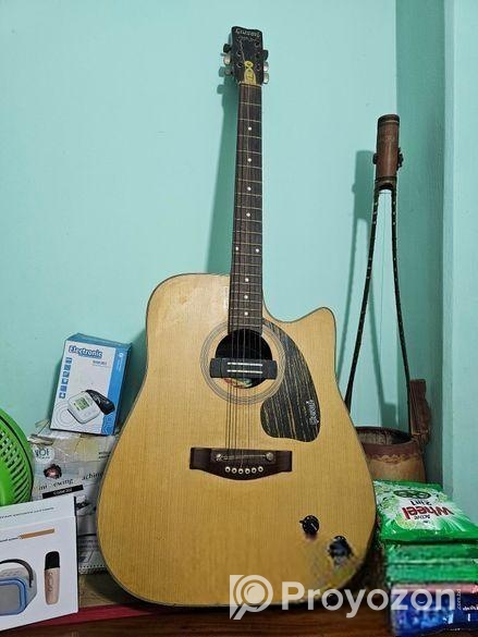 Givson Guiter