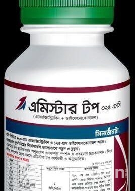 এমিস্টার টপ