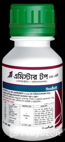 এমিস্টার টপ