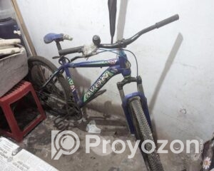 fitted-63_2025-08-02_10-56-35
