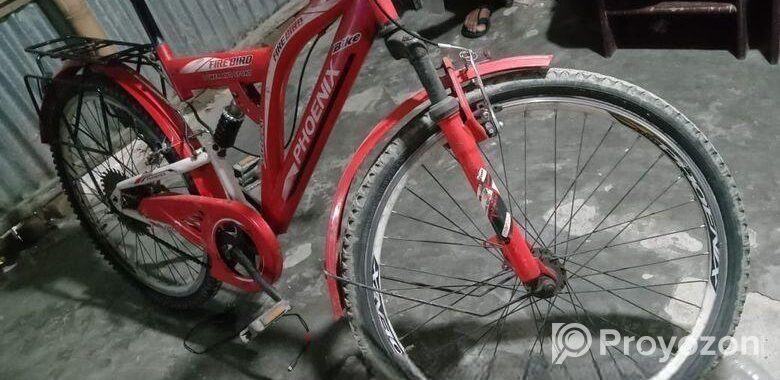 Phoenix Bicycle for sale