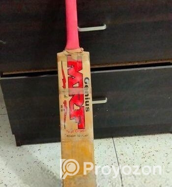 cricket bat