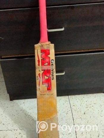 cricket bat