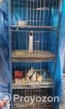 Kobutor Ar Kacha, Hari, Khabar Bati Sell Hobe