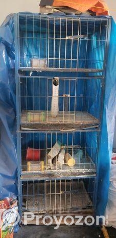 Kobutor Ar Kacha, Hari, Khabar Bati Sell Hobe