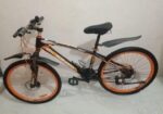 Duranta Bicycle for sale