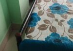 Bed for sell