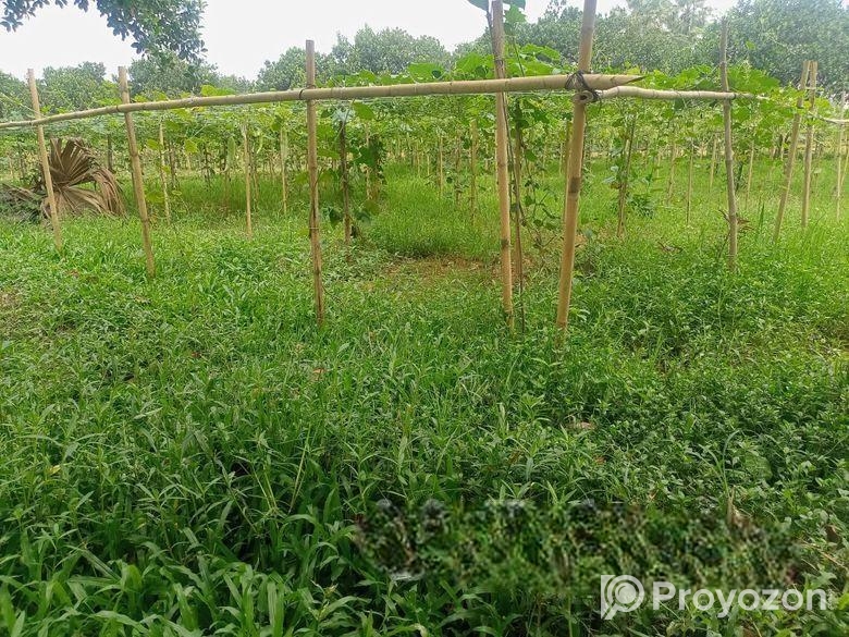 কম দামে,নিট প্লট বসবাসের উপযোগী @ ৩/৫/১০ কাঠা জমি