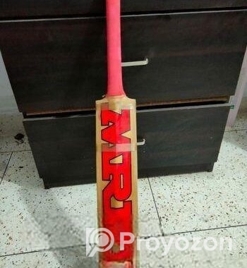 cricket bat