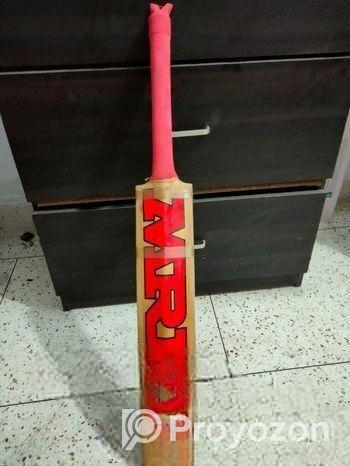 cricket bat