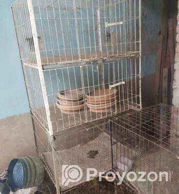 Kobutor Ar Kacha, Hari, Khabar Bati Sell Hobe