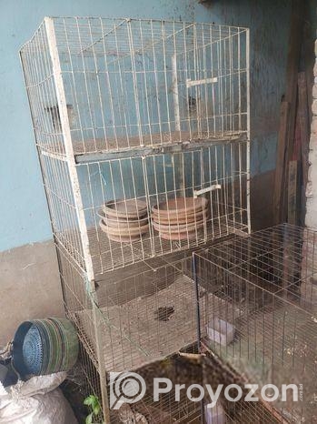 Kobutor Ar Kacha, Hari, Khabar Bati Sell Hobe