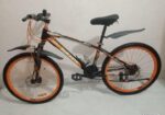 Duranta Bicycle for sale