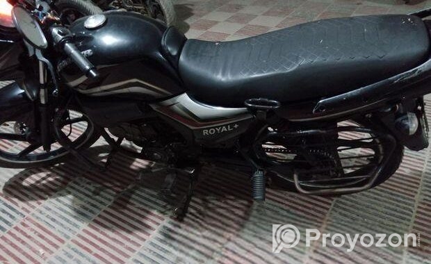 Runner Royal Plus . 2019