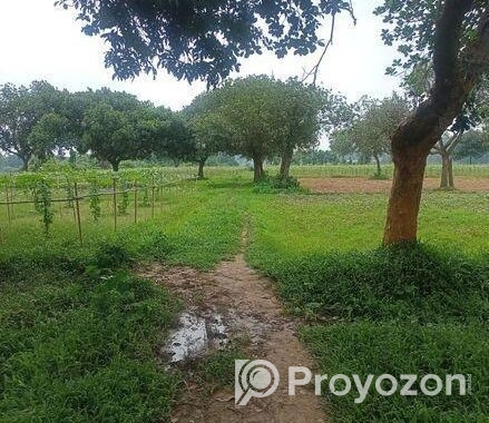 কম দামে,নিট প্লট বসবাসের উপযোগী @ ৩/৫/১০ কাঠা জমি