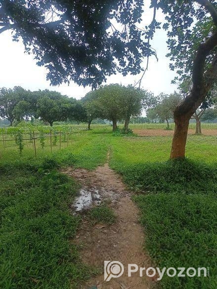 কম দামে,নিট প্লট বসবাসের উপযোগী @ ৩/৫/১০ কাঠা জমি